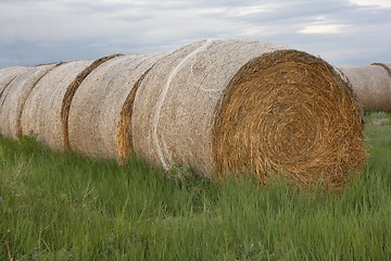 Image showing hay bales and green grass