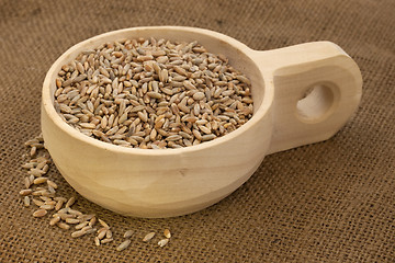 Image showing scoop of rye grain