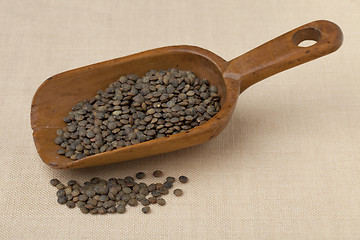 Image showing rustic scoop of French green  lentils