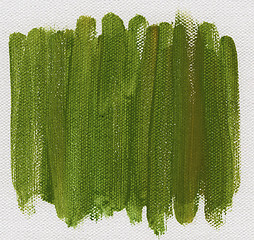 Image showing green abstract painted on canvas