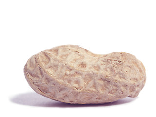 Image showing One peanut