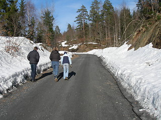 Image showing Walking