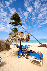 Image showing Sunbeds and parasol