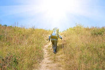 Image showing Hiker