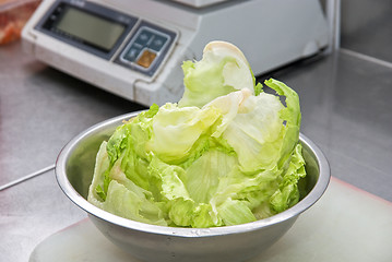 Image showing chinese cabbage