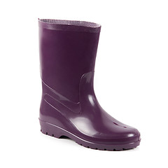 Image showing wellington boot