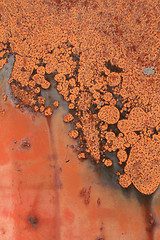 Image showing Rust bubbles