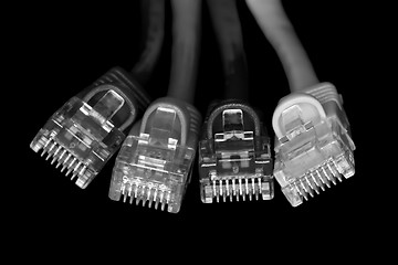 Image showing Network Cables. B&W macro.