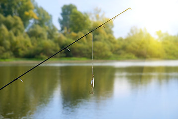 Image showing fishing