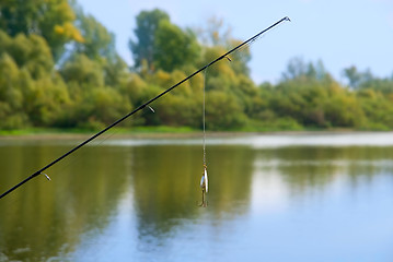 Image showing fishing