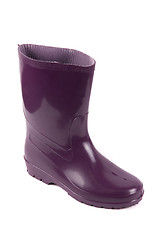 Image showing wellington boot