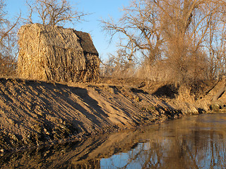 Image showing blind for waterfowl hunting