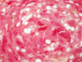 Image showing Salami texture