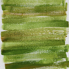 Image showing grunge green painted background