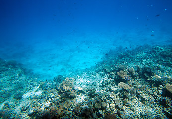 Image showing undersea