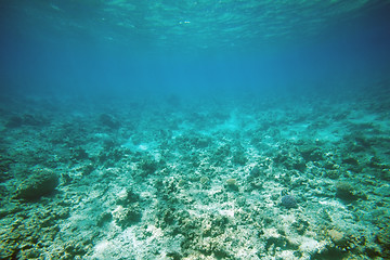 Image showing undersea