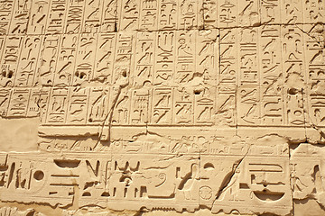 Image showing Egyptian hieroglyphs