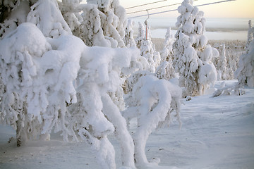 Image showing rope tow