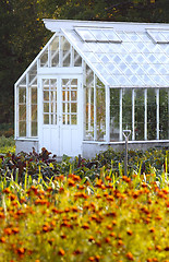 Image showing large greenhouse