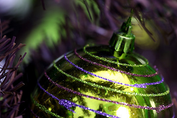 Image showing Christmas ornaments on tree.