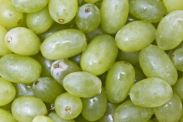 Image showing Fresh green grapes background