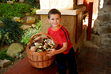 Image showing Small boy, mushroom picker