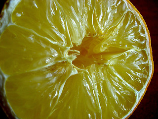 Image showing Lemon