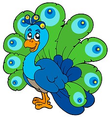 Image showing Cartoon peacock