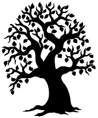 Image showing Big leafy tree silhouette