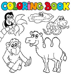 Image showing Coloring book with tropic animals 3