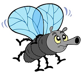 Image showing Cartoon fly
