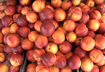 Image showing Ripe nectarines