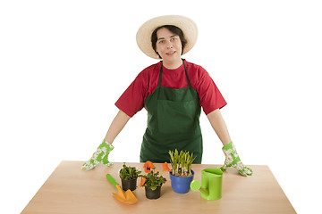 Image showing Gardener