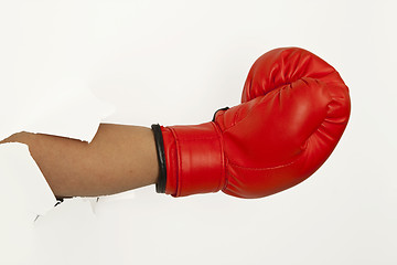 Image showing Box glove