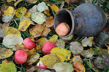Image showing Apples and Bowl on Fallen Leaves