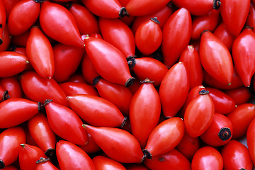 Image showing rose hip background