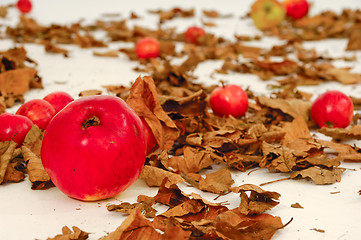 Image showing Red apples