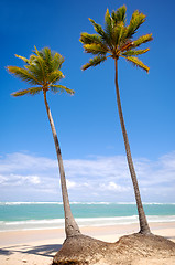 Image showing Exotic beach