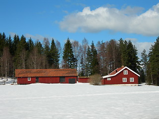 Image showing Farm