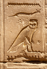 Image showing owl bas-relief