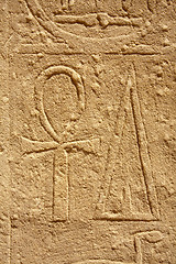 Image showing ankh sign