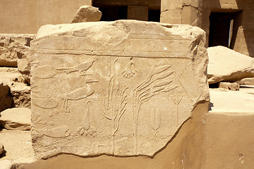 Image showing ancient Egyptian bas-relief