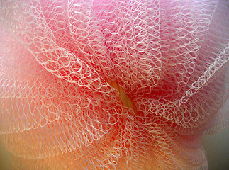 Image showing Floral sponge