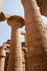 Image showing columns of Karnak Temple, Egypt, Luxor