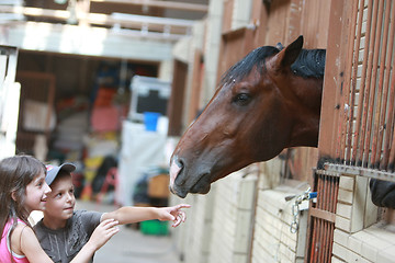 Image showing Open Equestrian Cup