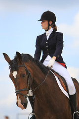 Image showing  Open Equestrian Cup