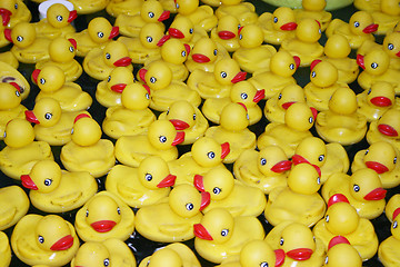 Image showing Rubber Ducks in Water