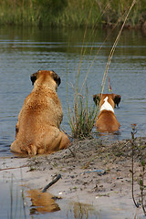 Image showing Cooling Off