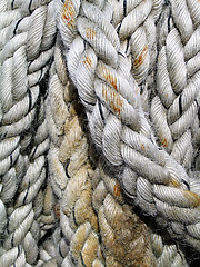 Image showing Rope Macro