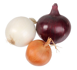 Image showing Only three fresh onion